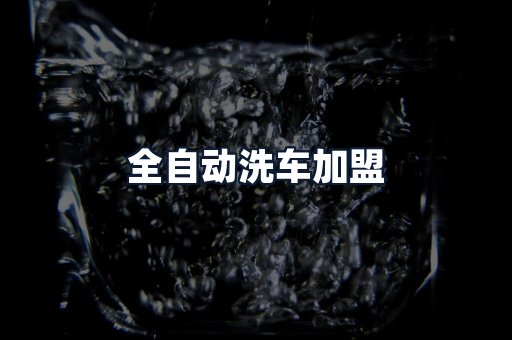 全自动洗车加盟